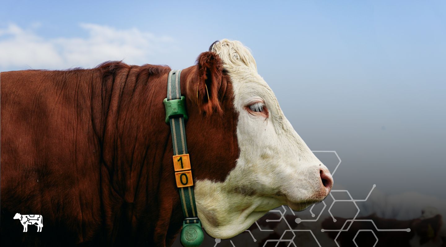 Optimizacija in digitalizacija kmetij